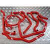 Ford Escort 1.6 / 1.8 Zetec MK6 - Kit durites auxiliaires silicone Roose Motorsport