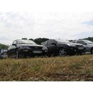 L'escort et sa descendance, la Focus