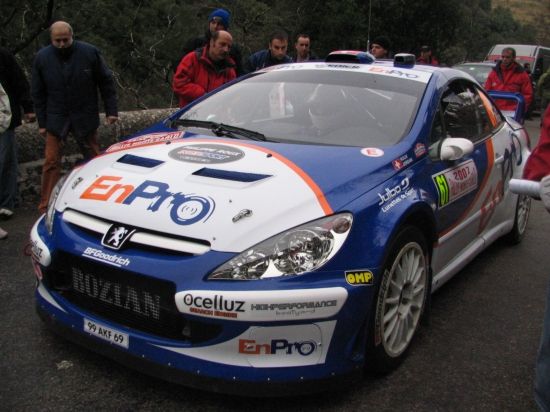 Peugeot 307 WRC Bozian