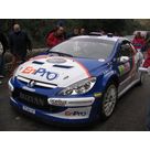 Peugeot 307 WRC Bozian