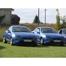 Bleu de g&egrave;nes ou bleu de g&egrave;nes?