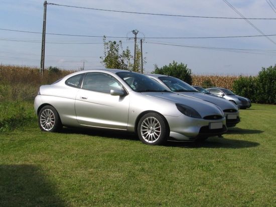 Les Puma au garde &agrave; vous