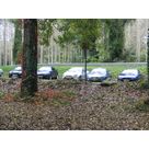 Les f&eacute;lins au fond des bois