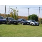 D'autres couleurs pour la Puma