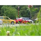 Les belles &agrave; l'arret