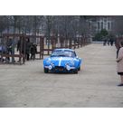 montecarlohisto 061