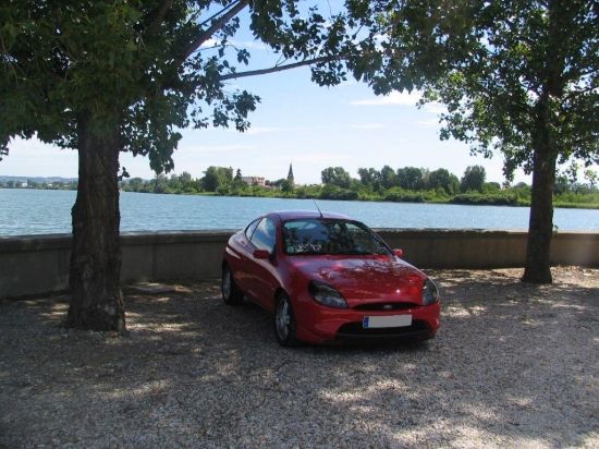 Ford Puma à l'ombre Ford Puma à l'ombre
