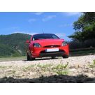 Le F&eacute;lin au repos