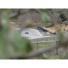 Gonzales en Speddy Turbo