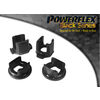 Insert pour silentbloc avant de berceau arri&egrave;re - Powerflex (Gamme comp&eacute;tition)