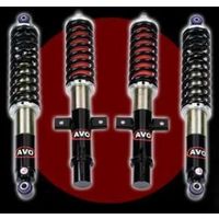 Combin&eacute;s Filet&eacute;s AVO GTZ - MG ZR / Rover 200 400